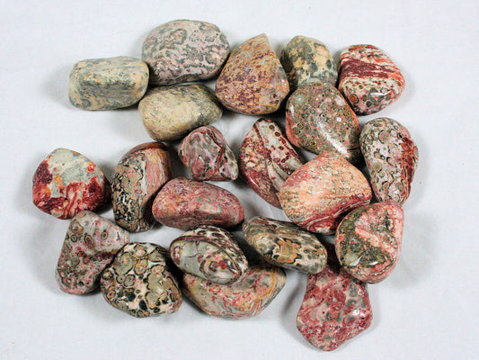 Leopard Skin Jasper